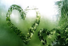 黑白体育直播：斯基拉：一些英超俱乐部正在关注帕尔马21岁前锋博尼.